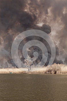 Large fire on banks of river in Astrakhan region. Russia. Spring, April. Black dense smoke and ash from burning reeds rises high