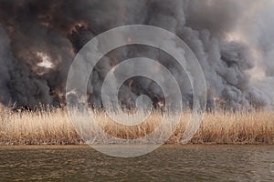 Large fire in steppe on banks of river. Astrakhan region. Russia. Spring, April. Black dense smoke and ash from burning reeds