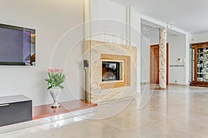 Large fireplace in posh villa photo