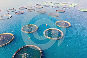 Large fish farm with lots of fish enclosures