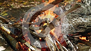 Large flames close-up. Old dry branches and sheets of paper are burning on the fire.