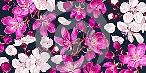 Large floral background with spring pink and white flowers of apricot, sakura