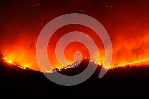 Large forest wildfire at night