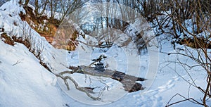 Large-format panorama with winter landscape