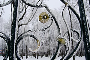 A large fragment of the park fence with hoarfrost