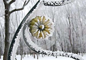 A large fragment of the park fence with hoarfrost