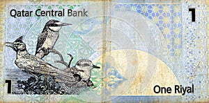 Large fragment of the reverse side of 1 Qatari Riyal cash money currency of Qatar banknote with native birds Crested Lark Galerida