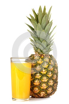 A large fresh ripe pineapple fruit with pineapple juice on a white isolated background. summer fruit