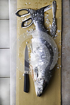 Large fresh salmon, knife and scissors. Preparation for cutting fish. Popular in diet and healthy nutrition,high protein source