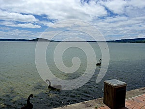 Large fresh water Lake in Roturua, New Zealand