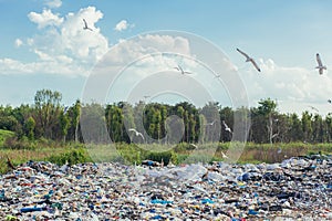 Large garbage dump against the backdrop of the forest, the landfill pollutes the environment