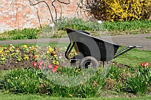 Large garden flower bed in sunshine planting flowers and plants in the lawn