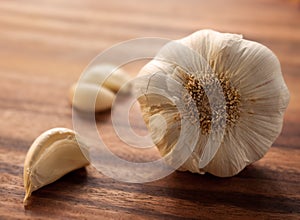 Large garlic head with a couple of peeled cloves