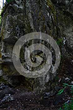 Large geometric rough stone rock overgrown with green moss in shadow, big cliffs in forest