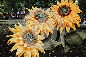 Large Giant bendable Paper Flowers. Big yellow suflowers made from paper. DIY big paper flower made from corrugated paper and EVA