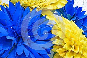 Large Giant Paper Flowers. Big blue and yellow dahlias made from paper. Pastel paper background pattern lovely style. Flower made