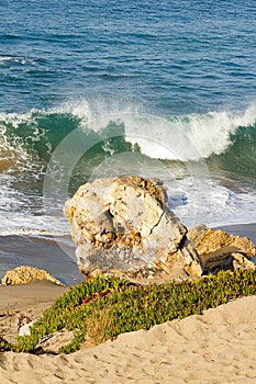 Large golden boulder with iceplant in front of cresting torqouise wave with backspray foam