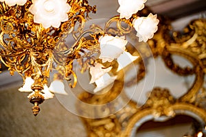Large golden chandelier with floral shades and floristic style bulbs. Close-up of shades and floral details.