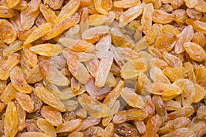 Large Golden Raisins background or texture