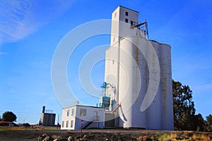 Large Grain Elevators