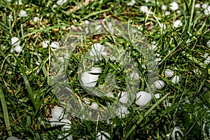 Large grains of hail on a green background. Background, texture. After Heavy Storm with Hail on the garden in the night. Close-up