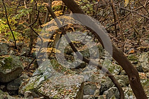 Large granite boulders on mountainside