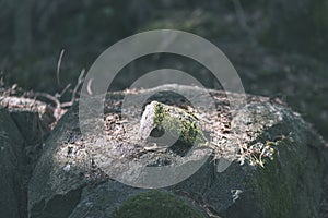 large granite rock single in nature - vintage retro film look