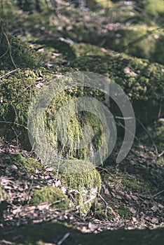 large granite rock single in nature - vintage retro film look