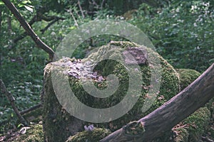 large granite rock single in nature - vintage retro film look