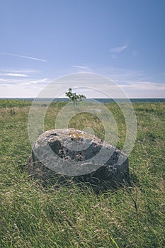 large granite rock single in nature - vintage retro film look