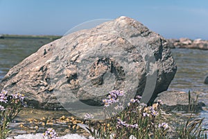 large granite rock single in nature - vintage retro film look