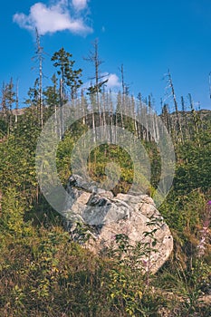 large granite rock single in nature - vintage retro film look