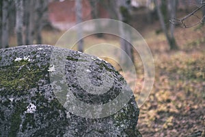 large granite rock single in nature - vintage retro film look