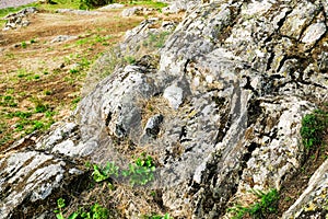 Large granite rocks covered with old moss are an inherent part of the harsh northern landscape of Sweden, Granna