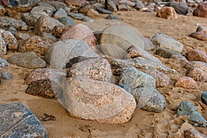 Large granite round stones turned by the sea.