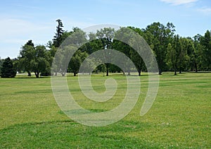 Large grass area in a park