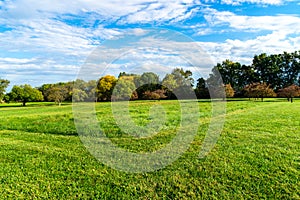 Large grass area by a row of trees