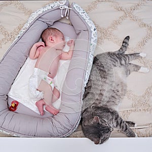 A large gray cat next to a newborn baby to a cocoon on the crib