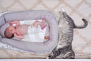 A large gray cat next to a newborn baby to a cocoon on the crib