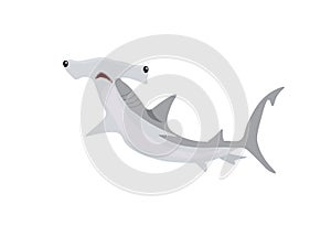 A large gray hammerhead shark.