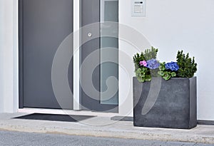 A large gray pot with a green bush and flowers in front of the entrance to the house next to the front gray door.