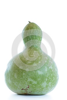 Large green bottle gourd