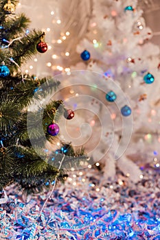 Large Green Christmas Tree with gifts in the bright living room