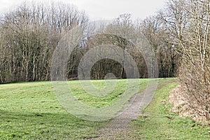 Large Green Field In A Forest with a stone path