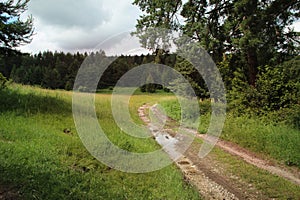 A large green meadow in the middle of the Slovak Paradise National Park