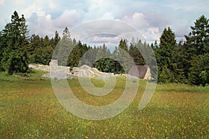 Velká zelená louka uprostřed národního parku Slovenský ráj