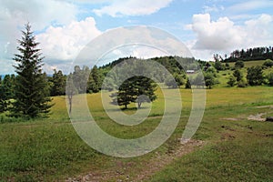 Veľká zelená lúka uprostred Národného parku Slovenský raj
