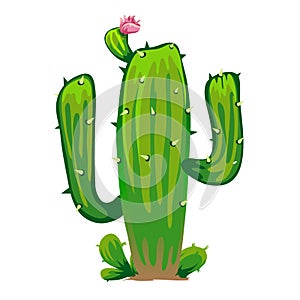 Large green prickly cactus with flower