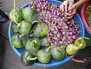 Large green and small purple eggplants