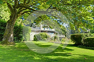 Large green summer authentic back yard with grey brown large house.